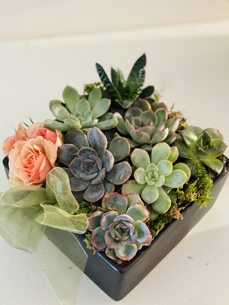 WEYMOUTH FLOWERS 88 Photos 997 Pleasant St, Weymouth Town