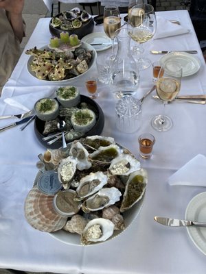The Pescatarian by null