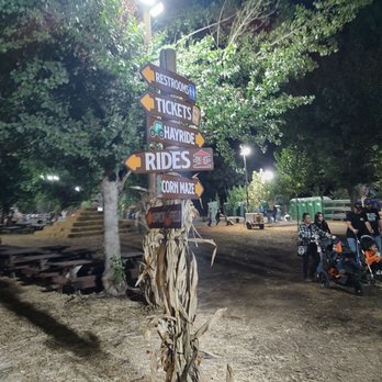 Live Oak Canyon Pumpkin Patch and Christmas Tree Farm - Christmas Trees Near Me - Redlands, California Live Oak Canyon Pumpkin Patch and Christmas Tree Farm - Christmas Trees Near Me - Redlands, California