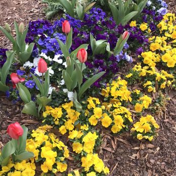 Northside Hospital Forsyth - Entry. Spring Flowers. 1100 Building. - Hospitals Near Me - Cumming, Georgia Northside Hospital Forsyth - Entry. Spring Flowers. 1100 Building. - Hospitals Near Me - Cumming, Georgia