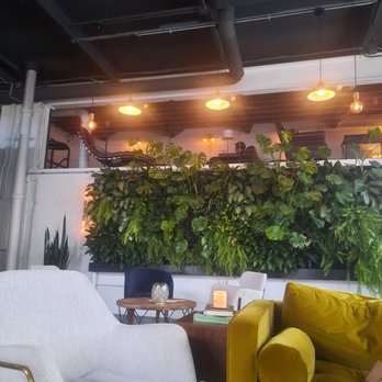 Parlor Public House - Ambience was 10/5 stars - Coffee & Tea Near Me - Indianapolis, Indiana