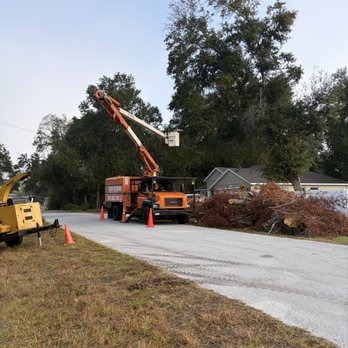 Carlos Tree Service - Tree Services Near Me - Ocala, Florida Carlos Tree Service - Tree Services Near Me - Ocala, Florida