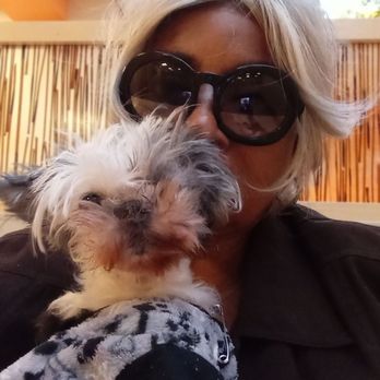 Anti-Cruelty - I had to put my cocoa down - Animal Shelters Near Me - Chicago, Illinois