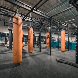 Evo Gyms - Boxing Heavy Bags
