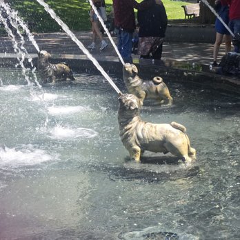 Dog Fountain - Landmarks & Historical Buildings Near Me - Toronto, Ontario Dog Fountain - Landmarks & Historical Buildings Near Me - Toronto, Ontario