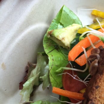 The Booch Bar - Damaged lettuce - Breakfast & Brunch Near Me - Hilo, Hawaii The Booch Bar - Damaged lettuce - Breakfast & Brunch Near Me - Hilo, Hawaii