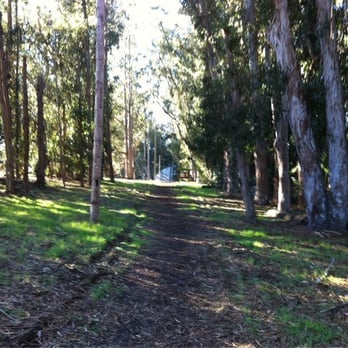 Morro Bay State Park - Hiking in Morro Bay State Park (provided courtesy of TRAILSOURCE.COM ) - Beaches Near Me - Morro Bay, California Morro Bay State Park - Hiking in Morro Bay State Park (provided courtesy of TRAILSOURCE.COM ) - Beaches Near Me - Morro Bay, California