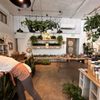 Plant Shoppe gift card