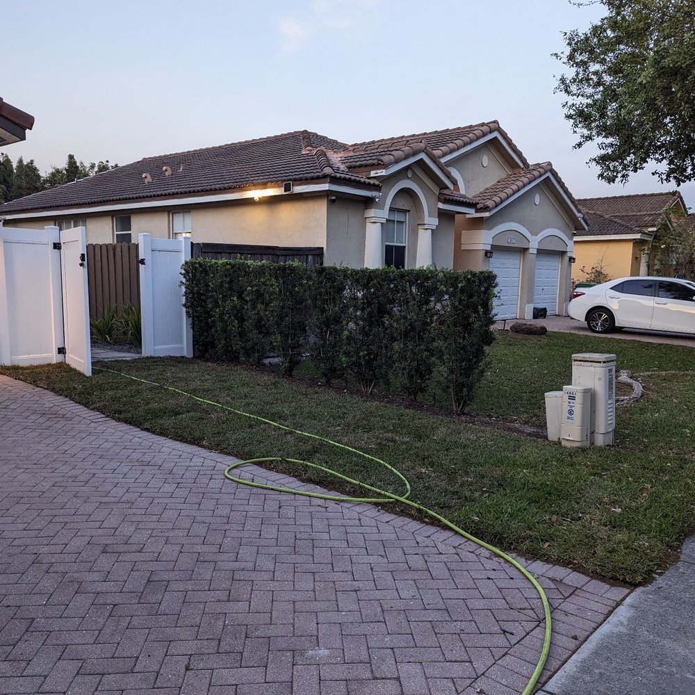 Tree Legends - Tree Services Near Me Tree Legends - Tree Services Near Me