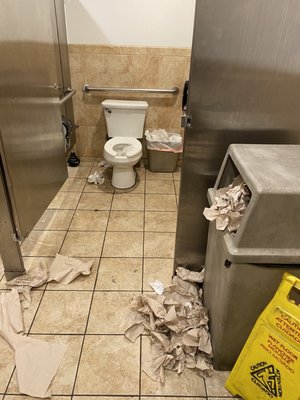 Alpine Slide at Magic Mountain by null