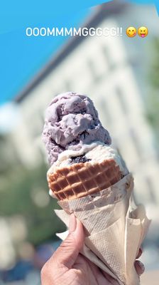 Mount Desert Island Ice Cream by null