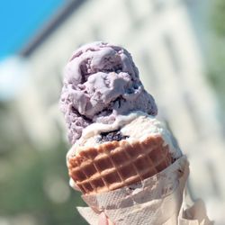 Mount Desert Island Ice Cream - Blueberry Sour Cream Crumble Ice Cream and Cookies and Cream Ice Cream