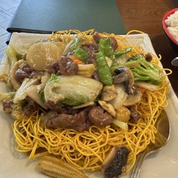 Pan Fried Noodles