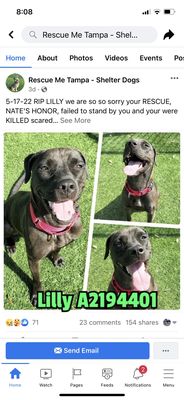HONOR ANIMAL RESCUE - Updated January 2025 - 20 Photos & 40 Reviews