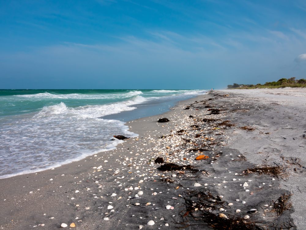 LATITUDE 27 CHARTERS Updated October 2024 15 Photos 1736 Larson St, Englewood, Florida