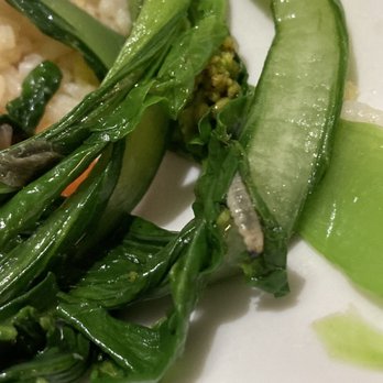 Ginger & Garlic - Choi sum with garlic. Our little friend bottom right. - Dim Sum Near Me - Honolulu, Hawaii