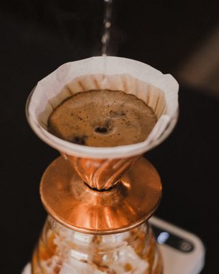 The Boy & The Bear - Coffee Roastery by null