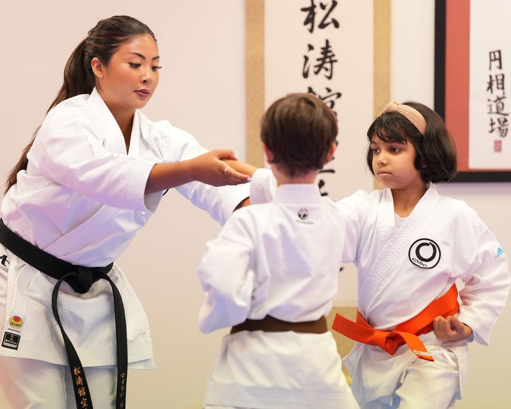 Enso Karate Logo
