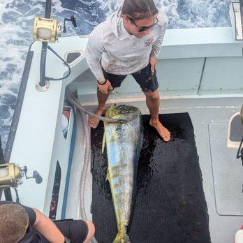 Five Star Sportfishing Hawaii - Fishing Near Me - Honolulu, Hawaii Five Star Sportfishing Hawaii - Fishing Near Me - Honolulu, Hawaii
