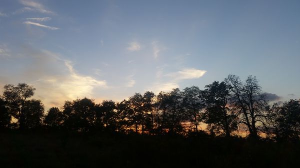 Legacy Trail by null