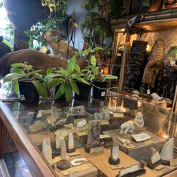 Ballyhoo Curiosity Shop