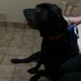 Photo of Milford Village Veterinary Clinic