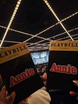 Infosys Theater at Madison Square Garden by null