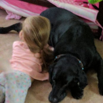 Dan Perata Training - Two best friends enjoying each other's time. Jake is a lover who knows his boundaries. Thanks Dan - Pet Training Near Me - San Francisco, California