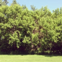 YogaFlow Studio - The view outside of the studio.