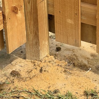 Zini & Son - Fence to high - Tree Services Near Me