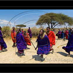 Serengeti - Africa. Visit my website to see my complete gallery
