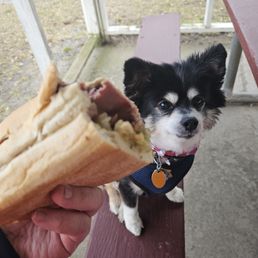 You can give your Chiwawa a baked pastrami with everything, but that doesn't mean you should.