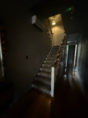 The Celestine by null The Celestine by null