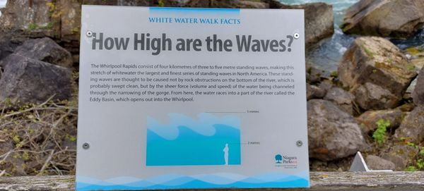 White Water Walk by null