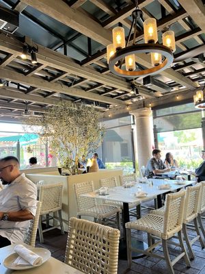 Oliver's Trattoria by null