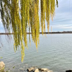 Lady Bird Johnson Park