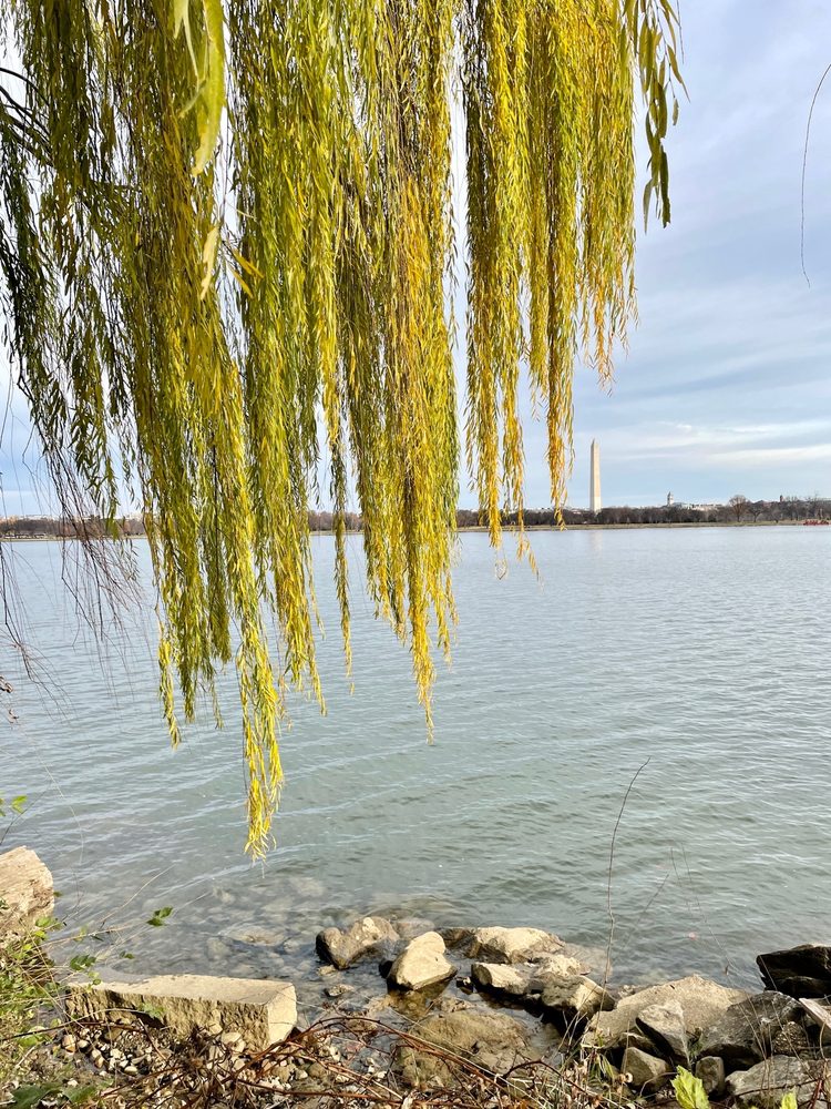 Lady Bird Johnson Park