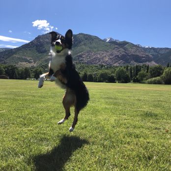 Uptown BARK - Pet Services Near Me - Layton, Utah