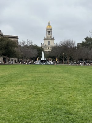 Baylor University by null