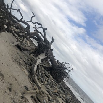 Driftwood Beach - Beaches Near Me - Jekyll Island, Georgia Driftwood Beach - Beaches Near Me - Jekyll Island, Georgia