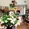 Postmark Books gift card