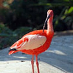 La Cité des Oiseaux