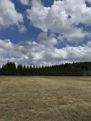 Belkin Family Lookout Farm - U-Pick Orchard - Taproom, Outdoor Dining and Market by null