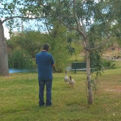 Pato Blanco Lakes Adult Rv Resort