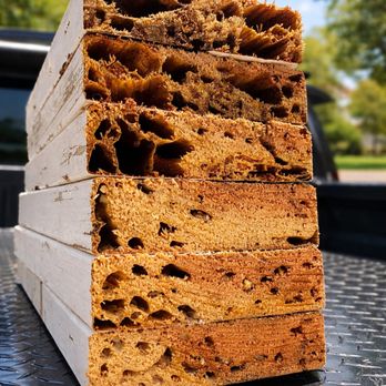 Kickout Termite - Pest Control Near Me - Laguna Niguel, California Kickout Termite - Pest Control Near Me - Laguna Niguel, California