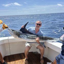 Pisces Sportsfishing - Blue Marlin
