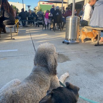 Flashpoint Brewing Company - Dog friendly patio - Breweries Near Me - Huntington Beach, California