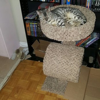 Bloor-Kipling Animal Clinic - Veterinarians Near Me - Etobicoke, Ontario Bloor-Kipling Animal Clinic - Veterinarians Near Me - Etobicoke, Ontario