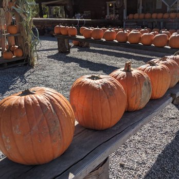 Greenspot Farm - Farmers Market Near Me - Mentone, California