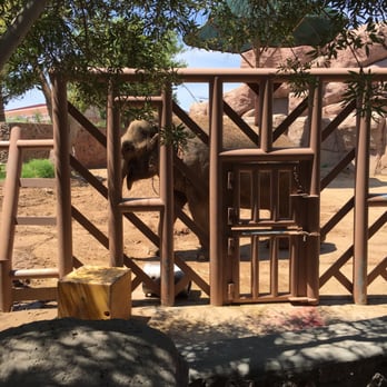 El Paso Zoo - Aquariums Near Me - El Paso, Texas El Paso Zoo - Aquariums Near Me - El Paso, Texas